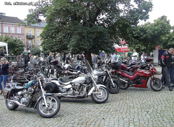 Green Snakes Kutno dla dzieci