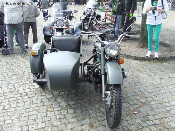 Green Snakes Kutno dla dzieci