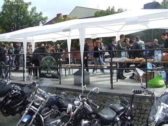 Green Snakes Kutno dla dzieci