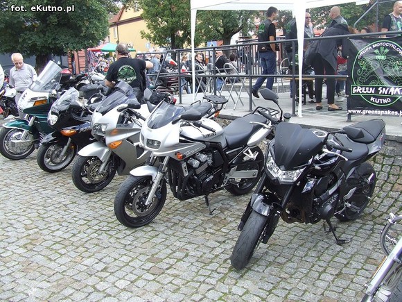 Green Snakes Kutno dla dzieci