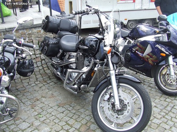 Green Snakes Kutno dla dzieci