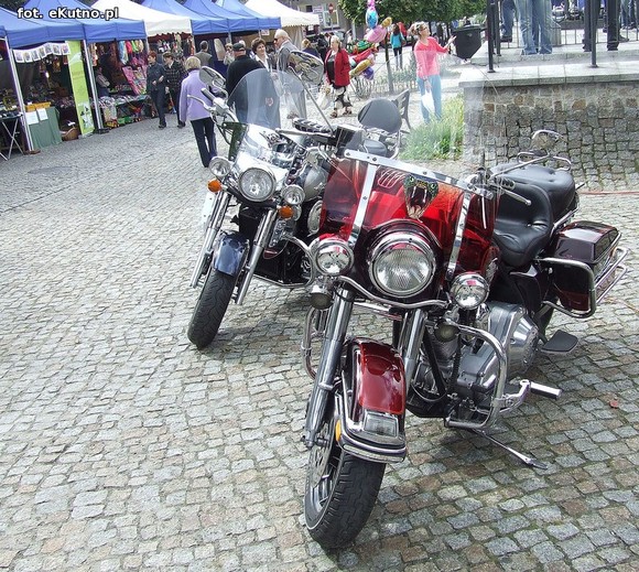 Green Snakes Kutno dla dzieci