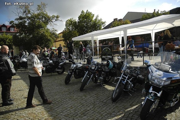 Green Snakes Kutno dla dzieci