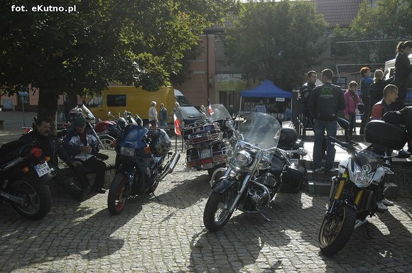 Green Snakes Kutno dla dzieci