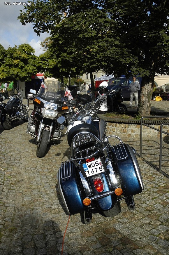 Green Snakes Kutno dla dzieci