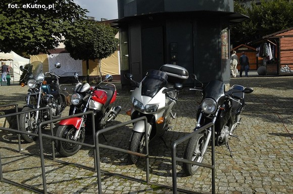 Green Snakes Kutno dla dzieci