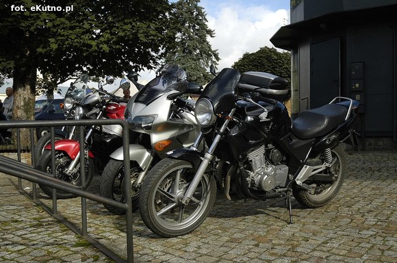 Green Snakes Kutno dla dzieci