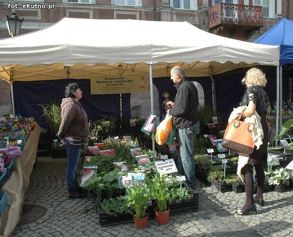 Po sadzonki na plac Piłsudskiego i przed dom kultury
