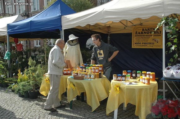 Po sadzonki na plac Piłsudskiego i przed dom kultury