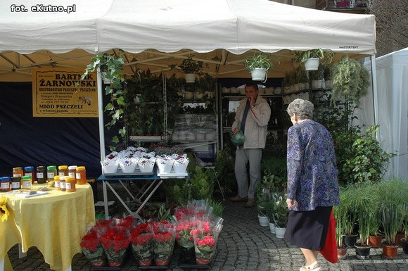 Po sadzonki na plac Piłsudskiego i przed dom kultury