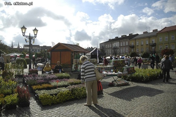 Po sadzonki na plac Piłsudskiego i przed dom kultury