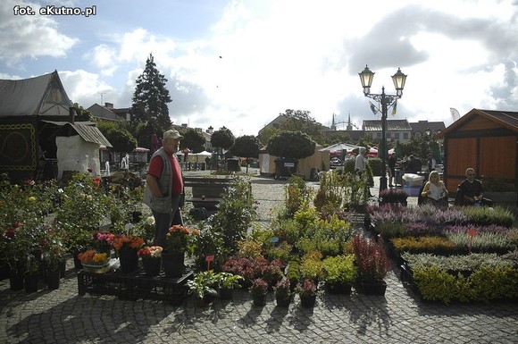 Po sadzonki na plac Piłsudskiego i przed dom kultury
