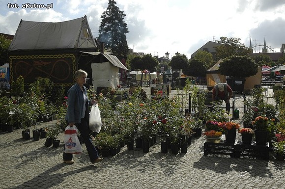 Po sadzonki na plac Piłsudskiego i przed dom kultury