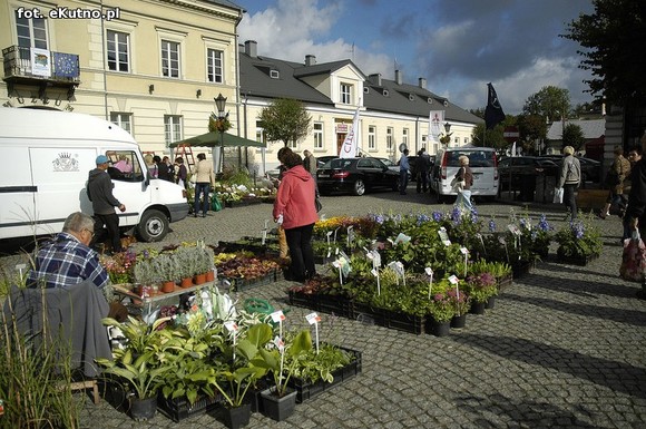 Po sadzonki na plac Piłsudskiego i przed dom kultury