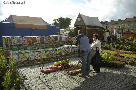 Po sadzonki na plac Piłsudskiego i przed dom kultury