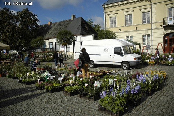 Po sadzonki na plac Piłsudskiego i przed dom kultury