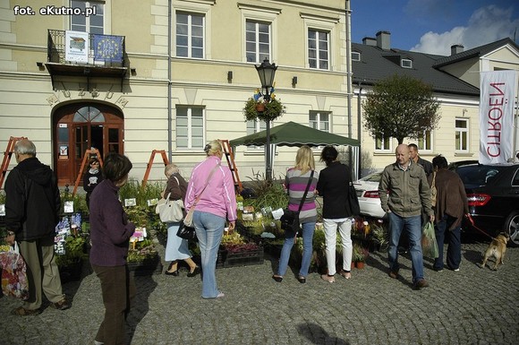 Po sadzonki na plac Piłsudskiego i przed dom kultury