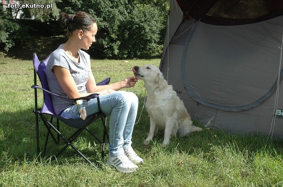  Krajowa Wystawa Psów Myśliwskich w Żychlinie