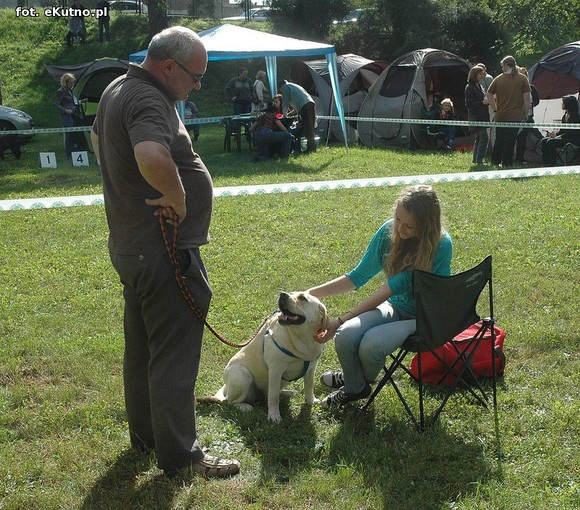  Krajowa Wystawa Psów Myśliwskich w Żychlinie