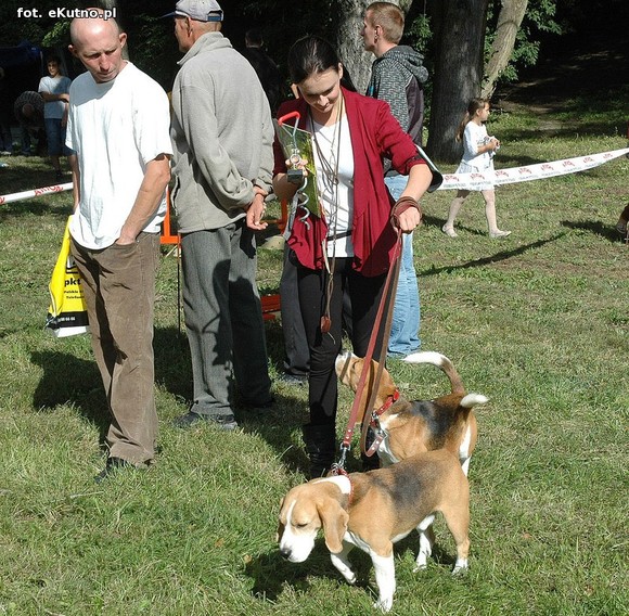  Krajowa Wystawa Psów Myśliwskich w Żychlinie