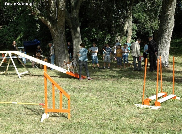  Krajowa Wystawa Psów Myśliwskich w Żychlinie