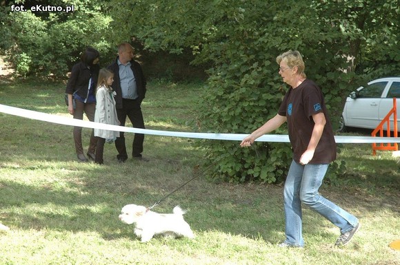  Krajowa Wystawa Psów Myśliwskich w Żychlinie