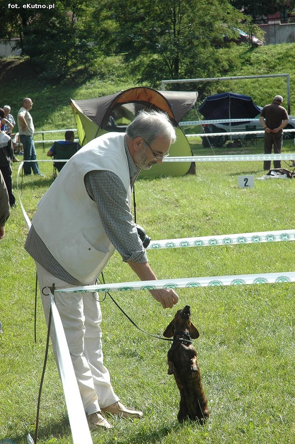  Krajowa Wystawa Psów Myśliwskich w Żychlinie