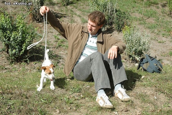  Krajowa Wystawa Psów Myśliwskich w Żychlinie