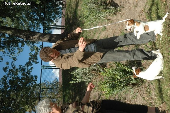  Krajowa Wystawa Psów Myśliwskich w Żychlinie