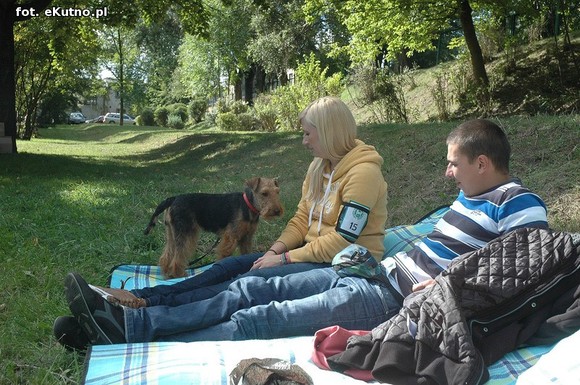  Krajowa Wystawa Psów Myśliwskich w Żychlinie