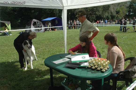  Krajowa Wystawa Psów Myśliwskich w Żychlinie