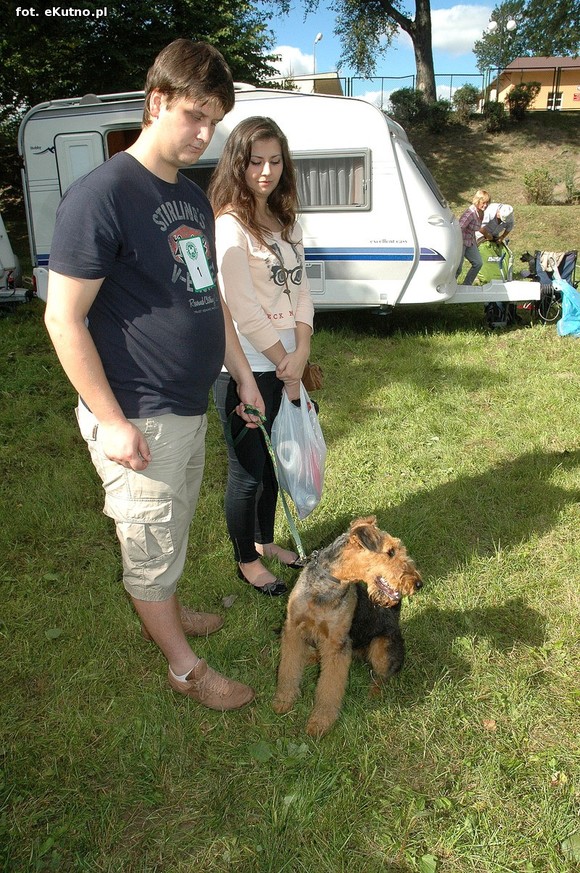  Krajowa Wystawa Psów Myśliwskich w Żychlinie