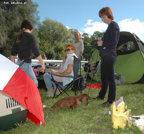  Krajowa Wystawa Psów Myśliwskich w Żychlinie