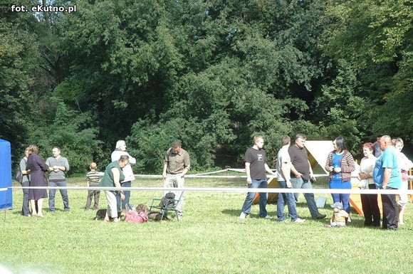  Krajowa Wystawa Psów Myśliwskich w Żychlinie