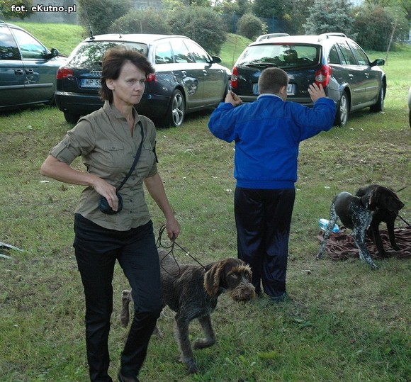  Krajowa Wystawa Psów Myśliwskich w Żychlinie