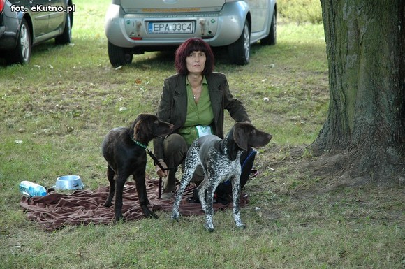  Krajowa Wystawa Psów Myśliwskich w Żychlinie