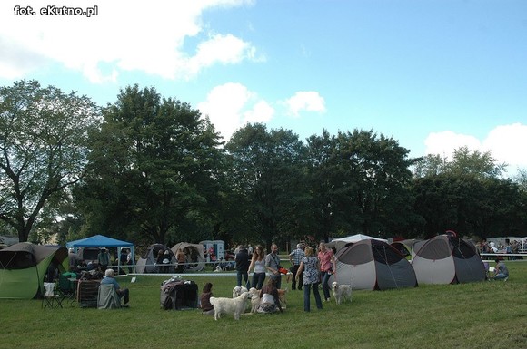  Krajowa Wystawa Psów Myśliwskich w Żychlinie