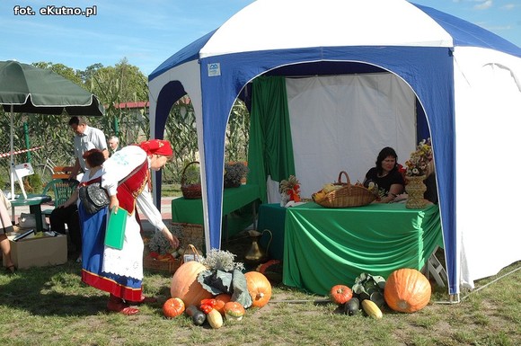 Szczęść Boże rolnikom. Dożynki w Krzyżanowie