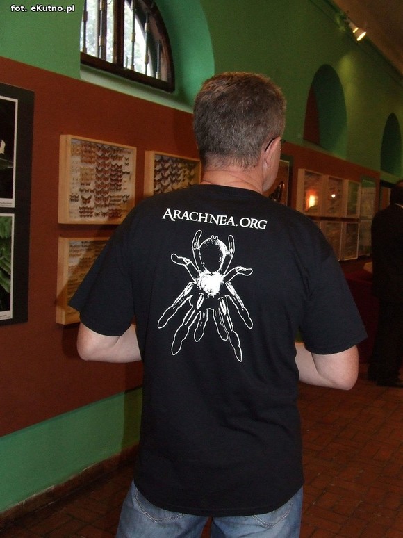 Niedźwiedziówka, ptasznik i chrabąszcz majowy. Nowa wystawa w Krośniewicach