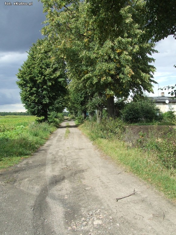 Inwestycje drogowe w gminie Krośniewice. Fatalna droga w Szubinie doczeka się modernizacji