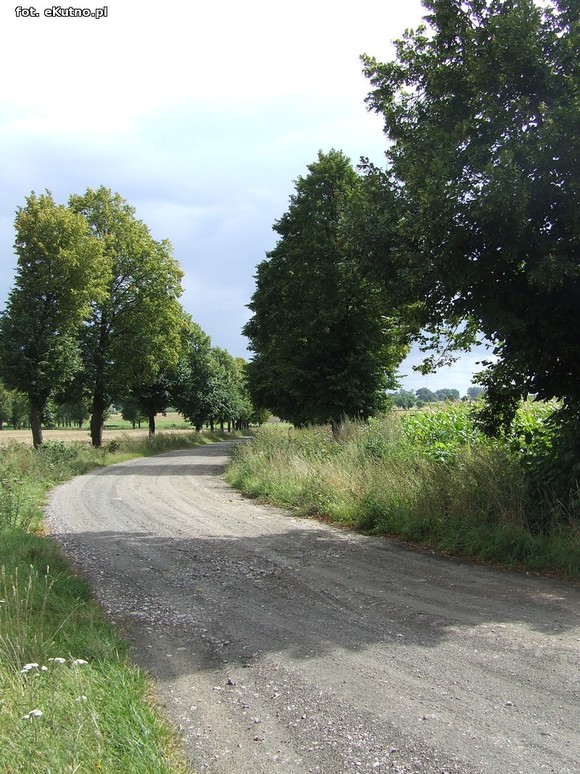 Inwestycje drogowe w gminie Krośniewice. Fatalna droga w Szubinie doczeka się modernizacji