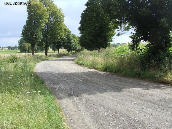 Inwestycje drogowe w gminie Krośniewice. Fatalna droga w Szubinie doczeka się modernizacji