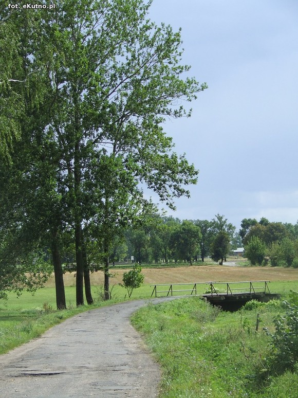 Inwestycje drogowe w gminie Krośniewice. Fatalna droga w Szubinie doczeka się modernizacji