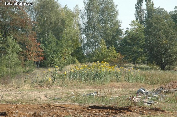 Żwir z kutnowskiego cmentarza w Micinie?