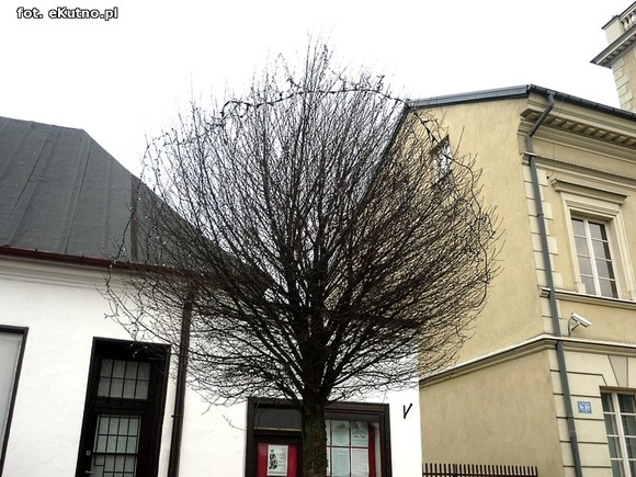 Przed ratuszem już świątecznie