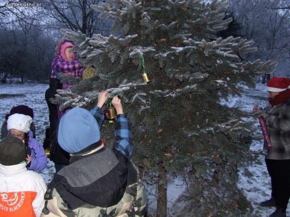 Najładniejsze ozdoby i wspólne ubieranie choinek w kutnowskim parku