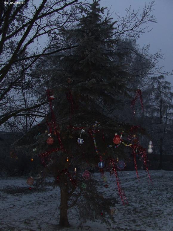 Najładniejsze ozdoby i wspólne ubieranie choinek w kutnowskim parku