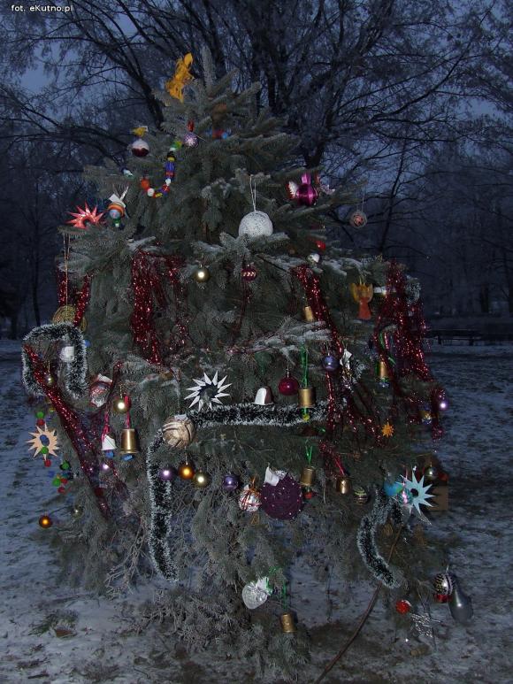 Najładniejsze ozdoby i wspólne ubieranie choinek w kutnowskim parku