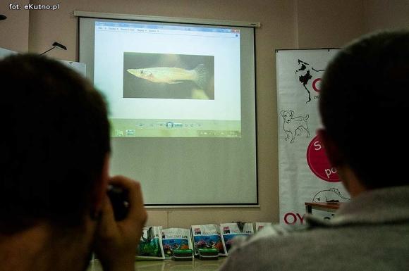 Pod patronatem eKutno.pl: II Sympozjum Akwarystyczne w Żychlinie