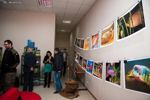 Pod patronatem eKutno.pl: II Sympozjum Akwarystyczne w Żychlinie
